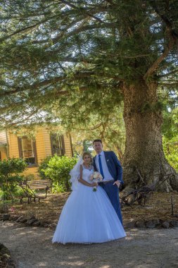 Sadece evli çift düğün giyiyor büyük ağacın önünde poz Giydir. Avustralya inanılmaz kum plaj düğün ateş.