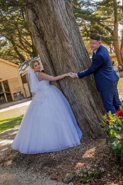 Una Pareja Casada Posando Para Foto Mientras Abraza Árbol Grande — Foto de Stock