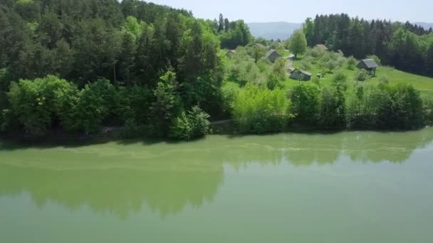 Hava Içindeki Yosun Dolu Yeşil Göl Üzerinde Sümer Güneşli Günde — Stok video
