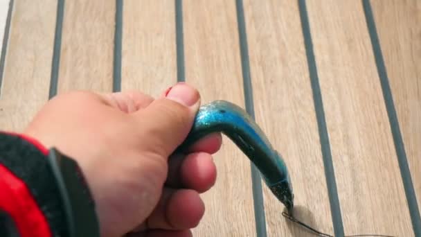 Male Hand Checking Blue Shiny Silicone Fishing Bait Attached Fishing — Stock Video