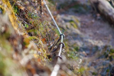 Orman yolu yanında çelik hat ayrıntısı.
