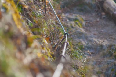 Orman yolu yanında çelik hat ayrıntısı.
