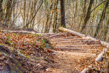 Orman yolu hiking merdivende.