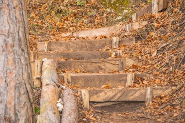 Orman yolu üzerinde ahşap merdiven.