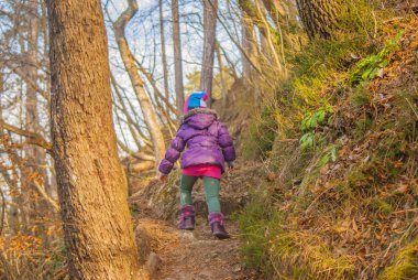 Küçük kız yokuş yukarı orman yolu üzerinde güneşli kış sabahı hiking.