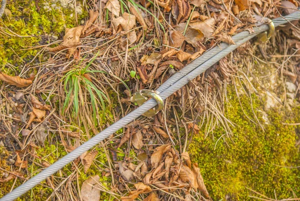 Orman yolu güvenliği için yanında çelik satırları.