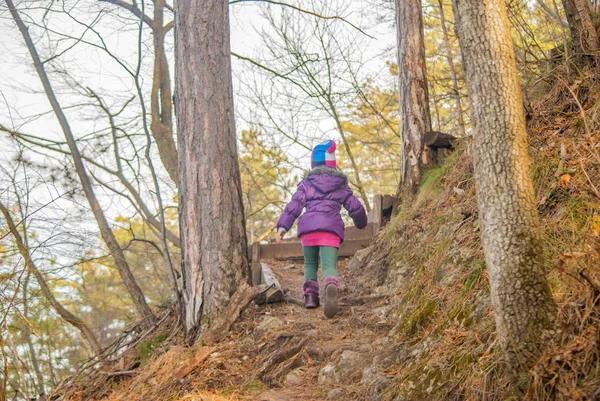 Küçük kız yokuş yukarı orman yolu üzerinde güneşli kış sabahı hiking.
