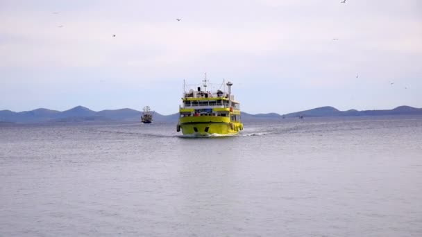 Filmar Navio Ferry Amarelo Partir Barco Navegar Direcção Muitas Gaivotas — Vídeo de Stock