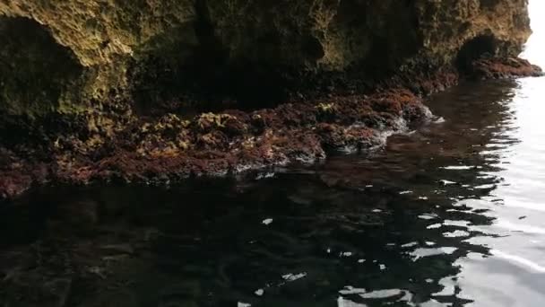 Riprese Mare Cristallino Con Riva Rocciosa Piena Diversi Tipi Alghe — Video Stock