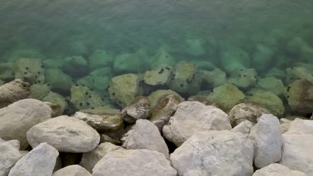 Воздуха Съемка Каменного Морского Побережья Красивым Синим Морем Полным Морских — стоковое видео