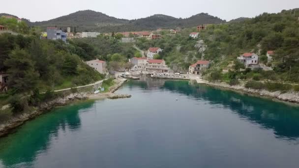 Aerea Riprese Bella Baia Verde Ble Con Gabbiano Che Vola — Video Stock