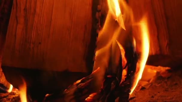 Närbild Björkved Brinna Inomhus Öppen Spis Slow Motion Burning Loggar — Stockvideo