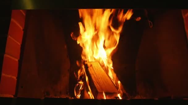 Birch Logs Burning Slowly Soft Orange Flames Slow Motion Burning — Stock Video