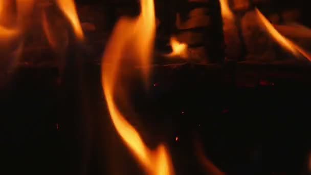 Απαλό Πορτοκαλί Φλόγες Από Καύση Σημύδας Κορμούς Στην Εσωτερική Εστία — Αρχείο Βίντεο
