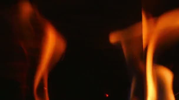 在室内开放壁炉中缓慢燃烧的桦树原木上的特写镜头 燃烧原木与柔和温暖的橙色美丽的放松火焰 — 图库视频影像