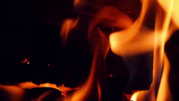 Close Berken Logs Verbranden Overdekte Open Haard Slowmotion Burning Logboeken — Stockvideo