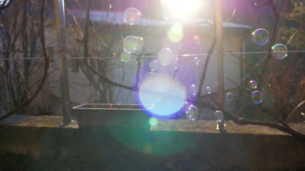 Seifenblasen Pusten Einem Schönen Wintersonnenuntergang Zeitlupe Schöne Linse Sonneneruptionen Färbung — Stockvideo