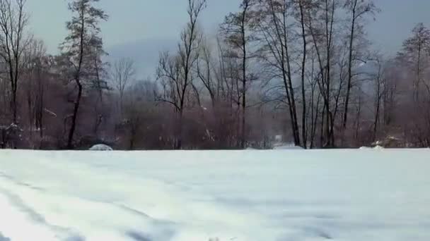 Filmagens Durante Condução Vista Lateral Carro Passando Pela Neve Coberto — Vídeo de Stock