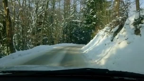 凍るような冬の寒い朝に森凍った道路で運転 雪に覆われた道路の曲線を介して丘を上がっていく — ストック動画