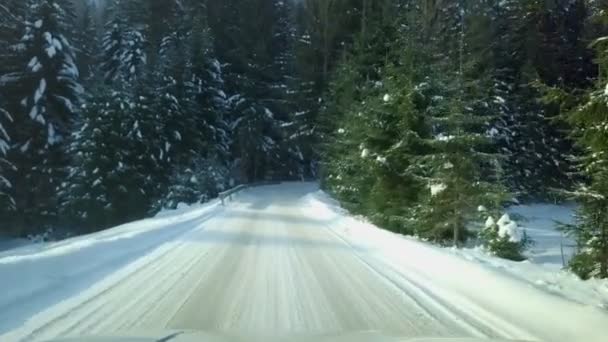 Οδηγώντας Μέσα Από Χιονισμένο Τοπίο Κρύο Χειμωνιάτικο Πρωινό Τον Ήλιο — Αρχείο Βίντεο