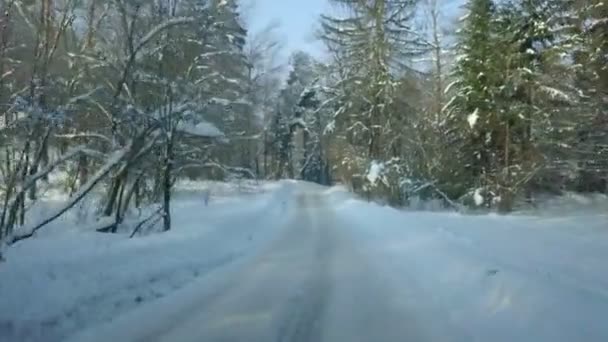 Οδηγώντας Μέσα Από Δάσος Χιονισμένο Δρόμο Κρύο Χειμωνιάτικο Πρωινό Ειδυλλιακό — Αρχείο Βίντεο
