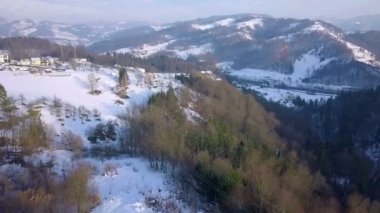Hava: sabit hat elektrik yüksek gerilim kablolarının üzerinde orman üzerinde uçan.