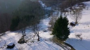 Hava: kar kaç ağaçlar ve küçük ev ile kaplı tepeler üzerinde uçan.