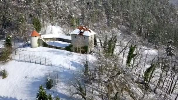 Ласко Словения 2018 Летающий Городской Замок Холме Покрытый Снегом — стоковое видео