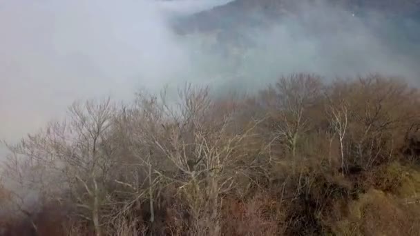 Aéreo Voando Sobre Topo Colina Cercado Com Nevoeiro Manhã Filmagem — Vídeo de Stock