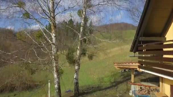 Antena Drone Podnoszenia Się Przed Domem Wysokiej Brzozy Brzoza Drzewo — Wideo stockowe