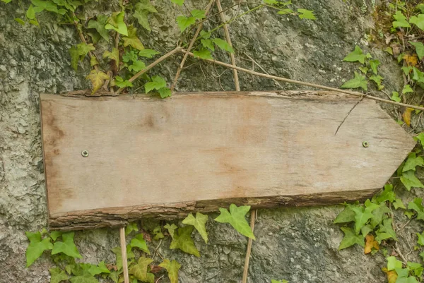 Drewniane Kierunek Tabeli Obecnie Poiting Lesie Obok Ścieżki — Zdjęcie stockowe