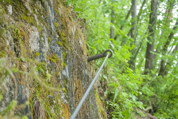 Orman yolu yanındaki çelik satır tutan