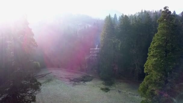 航空写真 ドローン高さを獲得し 冬の寒い朝にバック グラウンドで日の出とセコイア セコイア 木を撮影 — ストック動画