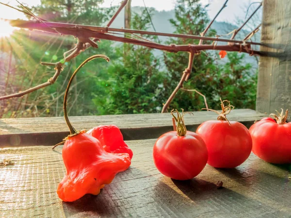 Red fruits — Stock Photo, Image