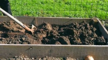 Woman preparing shoveling garden earth fot the next season. Shoveling with old iron rusted shovel with wooden handle.