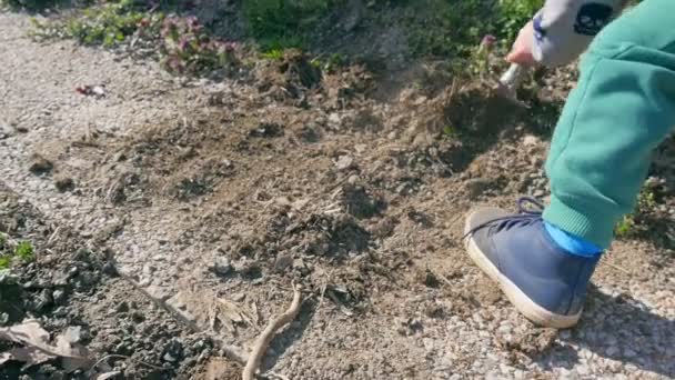 Kleine Baby Jongen Spelen Met Schoffel Tuinaarde Kinderen Leren Hoe — Stockvideo