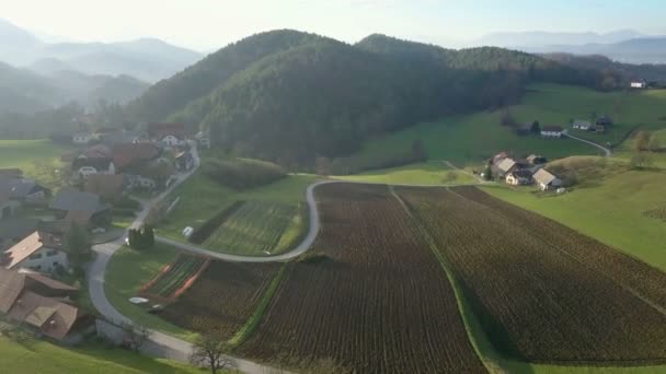 Volando con dron — Vídeo de stock