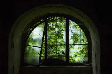 İçeriden sarmaşıkla kaplı kemer penceresi