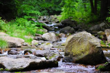 Nieznik Peyzaj Parkı, Sudety Dağları, Polonya'da, ormanlık alanda kayalık dağ deresi (Wilczka)