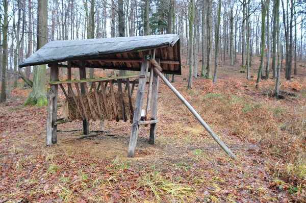 带屋顶的木制喂食器 位于冬季森林中裸露的树木之间 — 图库照片