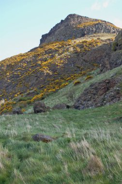 Holyrood Park ve Arthur's Seat Edinburgh İskoçya
