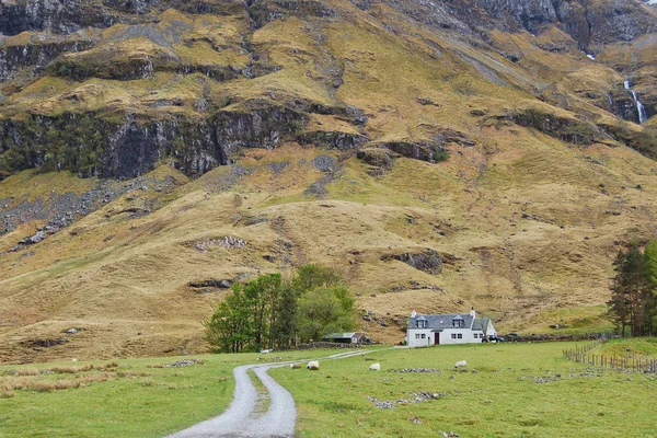 Μοναχικό Σπίτι Στα Υψίπεδα Της Σκωτίας — Φωτογραφία Αρχείου