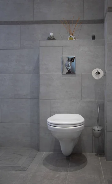 Toaleta Ošuntělém Stylu Šedé Bílé Tóny — Stock fotografie