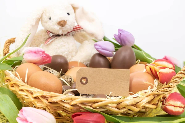 Bedårande Påskharen Stoppade Easter Egg Hunt Korg — Stockfoto