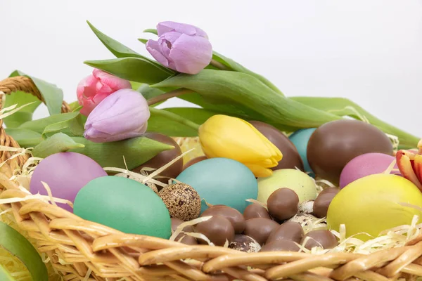 Easter Egg Hunt Spring Arrival — Stock Photo, Image