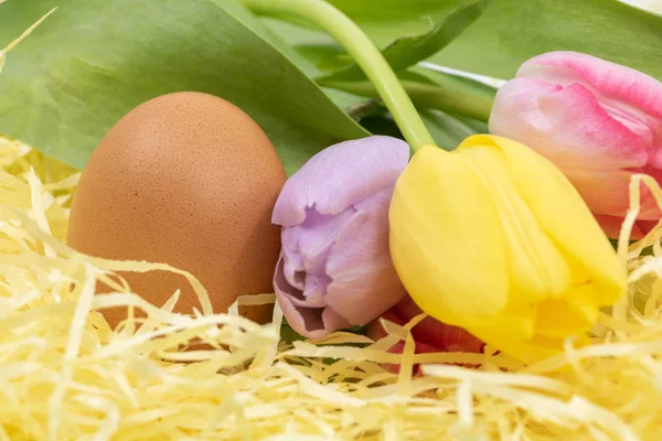 Chegada Férias Primavera Páscoa Ovo Galinha Tulipas Pastel — Fotografia de Stock