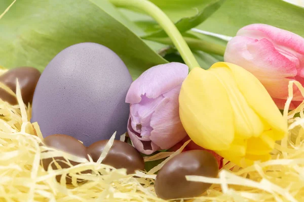 Easter Egg Painted Lavender Color Pastel Tulips Chocolate Eggs Easter — Stock Photo, Image