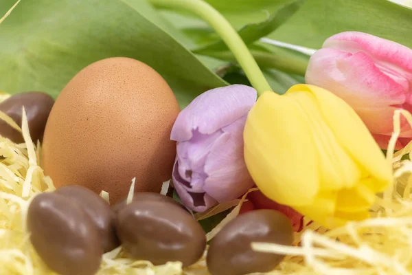 Closeup Chocolate Chicken Eggs Tulips Easter — Stock Photo, Image