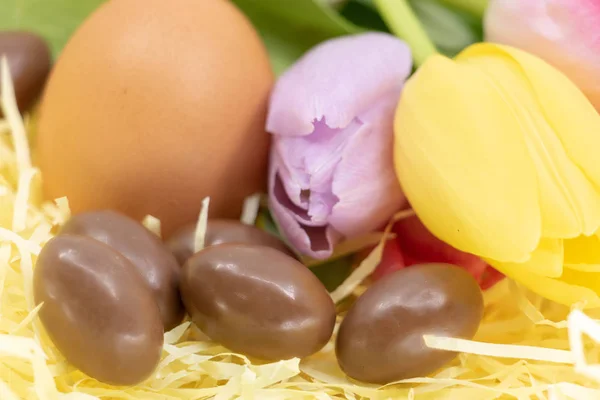Different Chicken Eggs Chocolate Tulips Celebrate Easter Spring — Stock Photo, Image