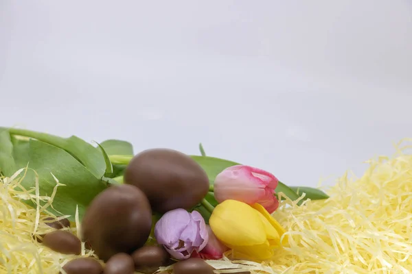 Caixa Texto Ovos Chocolate Tulipas Coloridas Pastel Para Chegada Páscoa — Fotografia de Stock